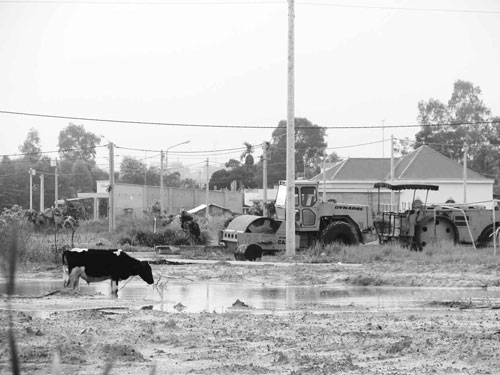 Nhiều dự án khu dân cư bỏ hoang